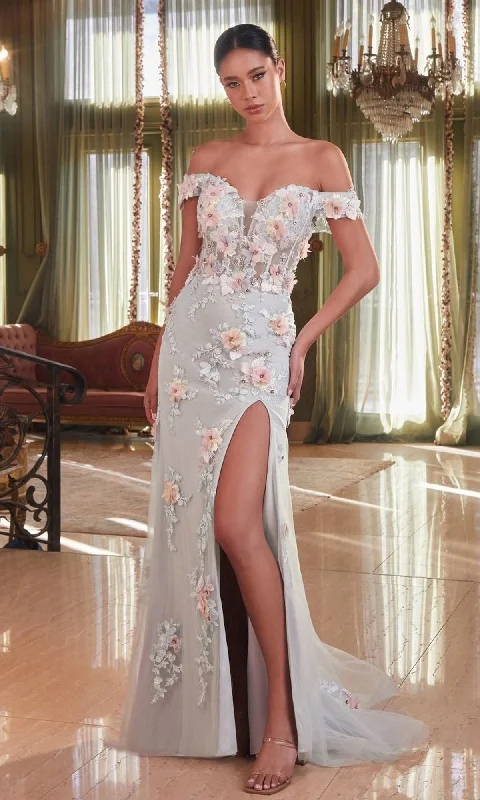 Clothing Online Floral-Embellished Long Mist Gray Prom Dress CD005